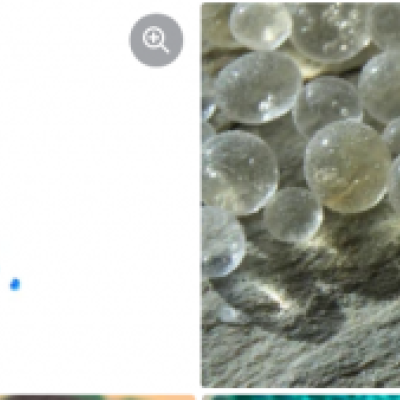 Blue silica gel and Orange silica gel manufacturers, exporters, and suppliers in canada